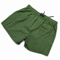 Costume verde fantasy